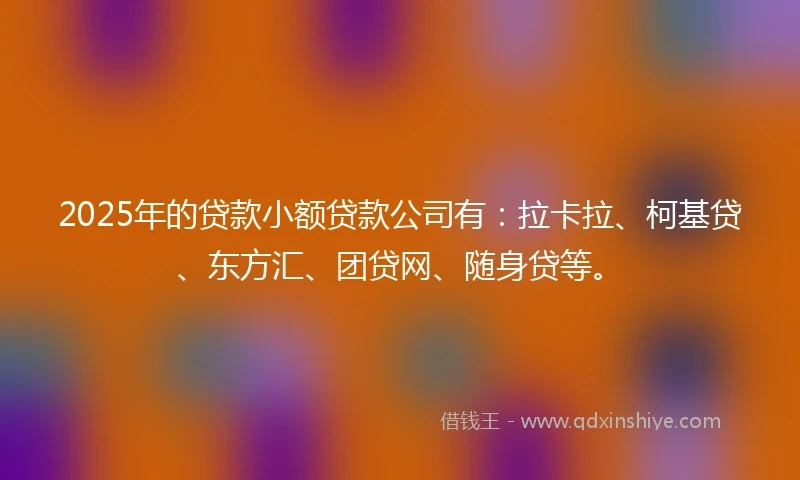 2025年的贷款小额贷款公司有：拉卡拉、柯基贷、东方汇、团贷网、随身贷等。