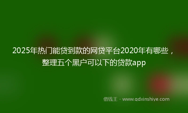 2025年热门能贷到款的网贷平台2020年有哪些，整理五个黑户可以下的贷款app