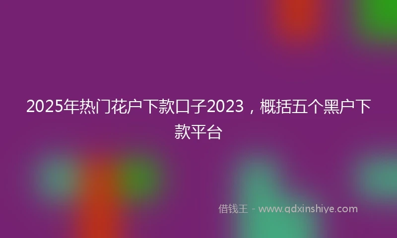 2025年热门花户下款口子2023，概括五个黑户下款平台