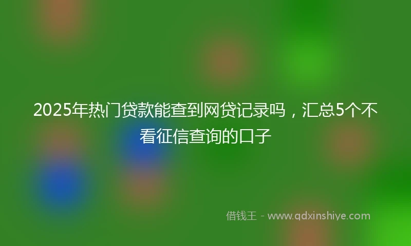2025年热门贷款能查到网贷记录吗，汇总5个不看征信查询的口子
