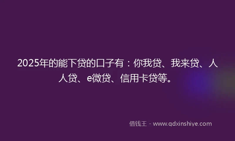 2025年的能下贷的口子有：你我贷、我来贷、人人贷、e微贷、信用卡贷等。
