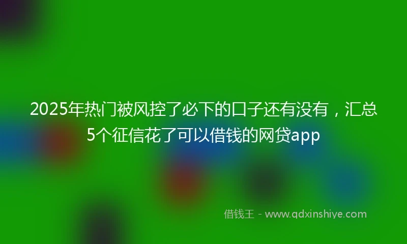 2025年热门被风控了必下的口子还有没有，汇总5个征信花了可以借钱的网贷app