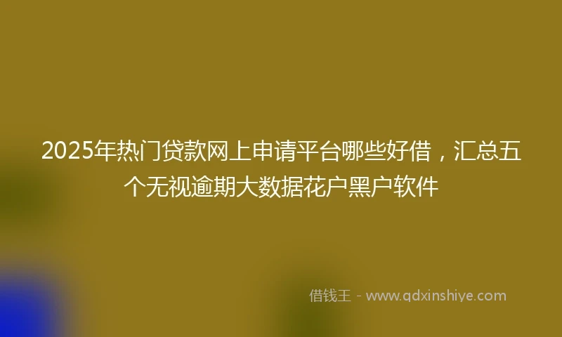 2025年热门贷款网上申请平台哪些好借，汇总五个无视逾期大数据花户黑户软件
