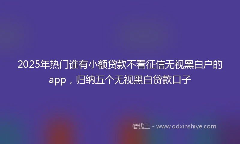 2025年热门谁有小额贷款不看征信无视黑白户的app，归纳五个无视黑白贷款口子