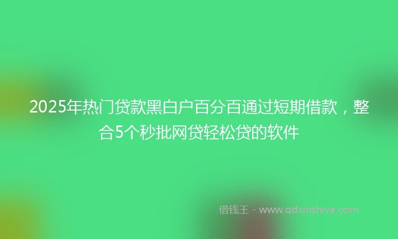 2025年热门贷款黑白户百分百通过短期借款，整合5个秒批网贷轻松贷的软件