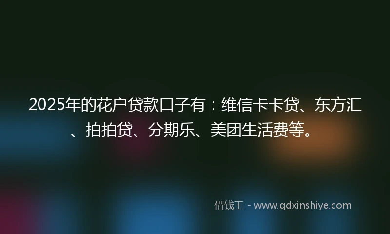 2025年的花户贷款口子有：维信卡卡贷、东方汇、拍拍贷、分期乐、美团生活费等。