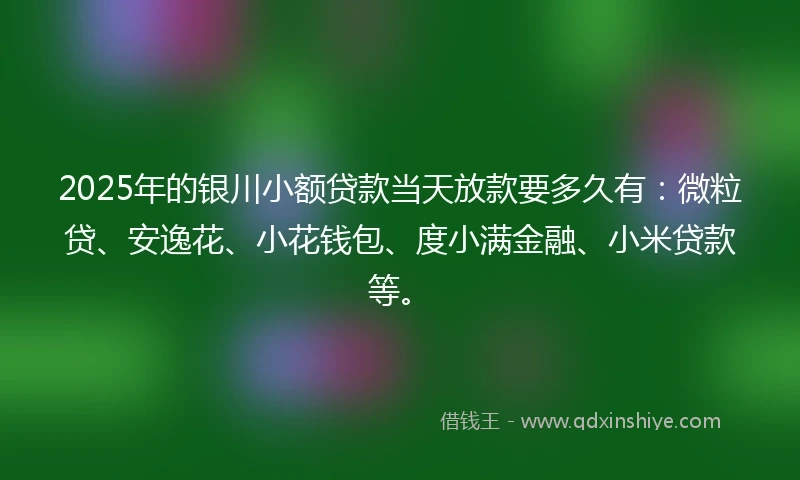 2025年的银川小额贷款当天放款要多久有：微粒贷、安逸花、小花钱包、度小满金融、小米贷款等。