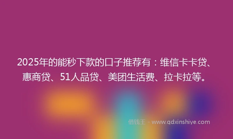 2025年的能秒下款的口子推荐有：维信卡卡贷、惠商贷、51人品贷、美团生活费、拉卡拉等。