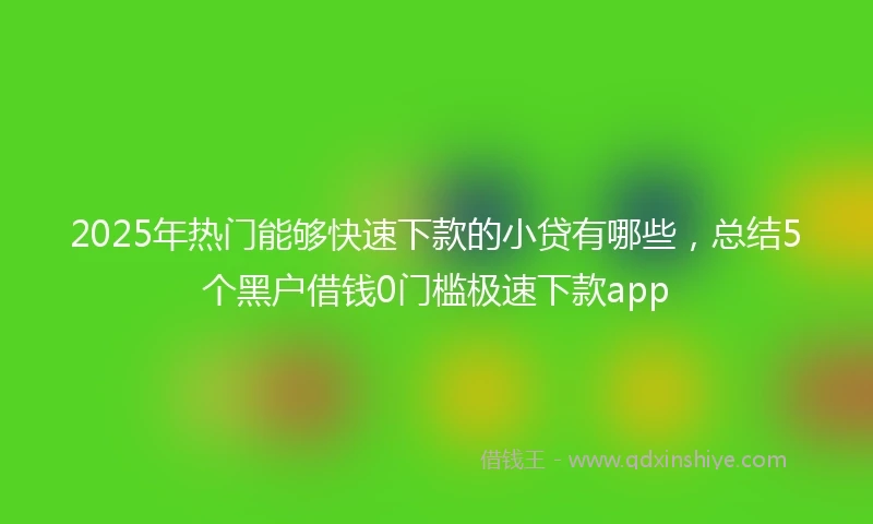 2025年热门能够快速下款的小贷有哪些，总结5个黑户借钱0门槛极速下款app
