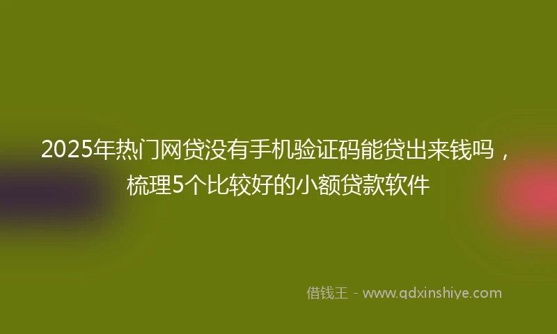 2025年热门网贷没有手机验证码能贷出来钱吗，梳理5个比较好的小额贷款软件