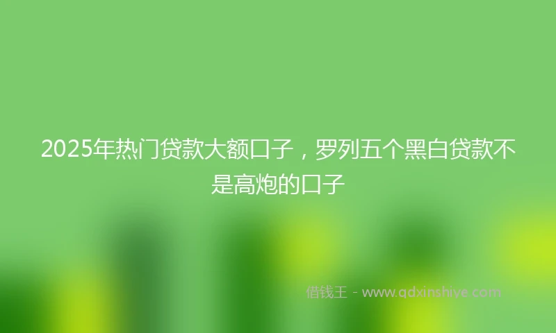 2025年热门贷款大额口子，罗列五个黑白贷款不是高炮的口子
