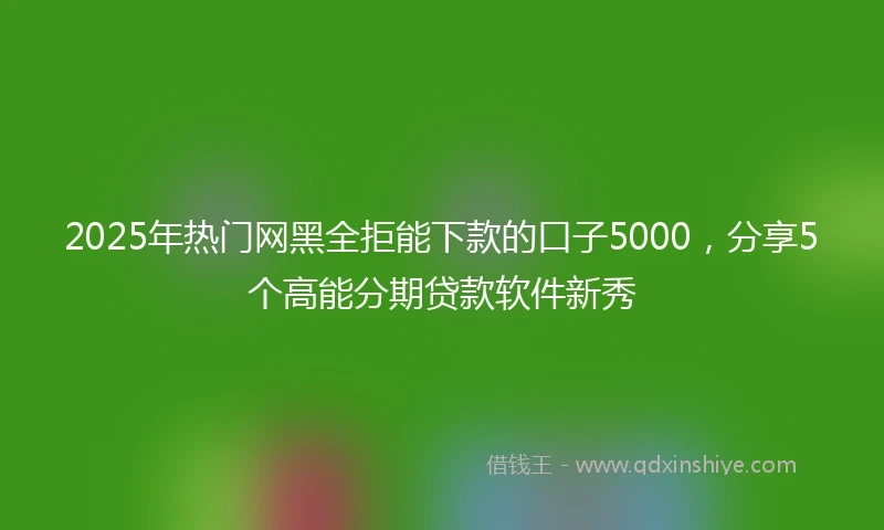 2025年热门网黑全拒能下款的口子5000，分享5个高能分期贷款软件新秀