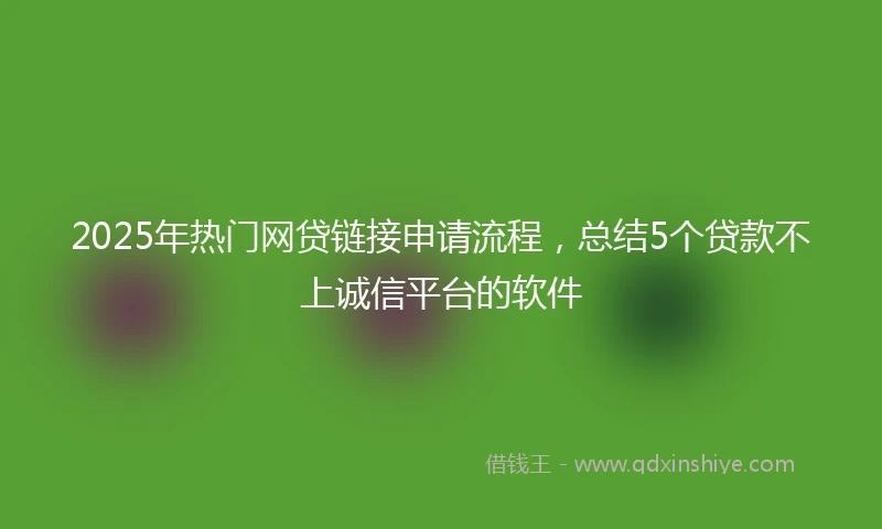 2025年热门网贷链接申请流程，总结5个贷款不上诚信平台的软件