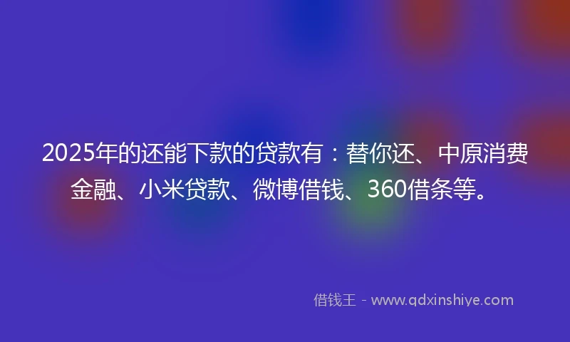 2025年的还能下款的贷款有：替你还、中原消费金融、小米贷款、微博借钱、360借条等。