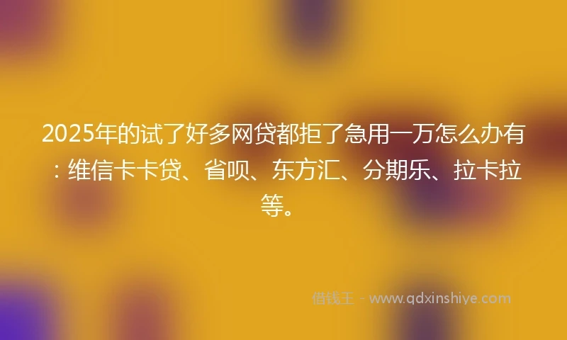 2025年的试了好多网贷都拒了急用一万怎么办有：维信卡卡贷、省呗、东方汇、分期乐、拉卡拉等。