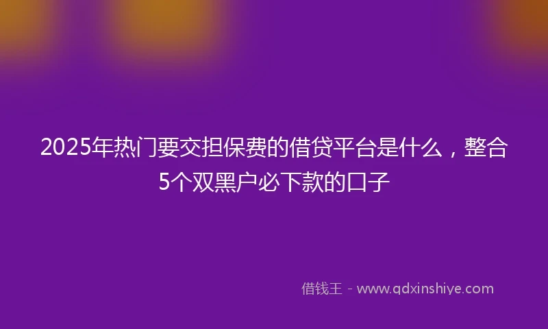 2025年热门要交担保费的借贷平台是什么，整合5个双黑户必下款的口子