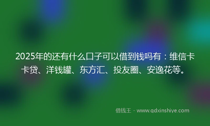 2025年的还有什么口子可以借到钱吗有：维信卡卡贷、洋钱罐、东方汇、投友圈、安逸花等。