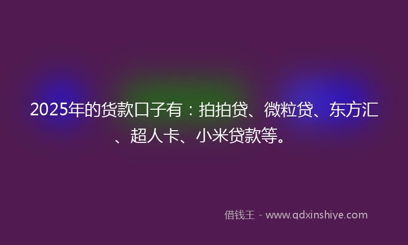 2025年的货款口子有：拍拍贷、微粒贷、东方汇、超人卡、小米贷款等。