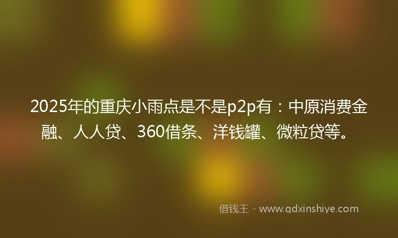 2025年的重庆小雨点是不是p2p有：中原消费金融、人人贷、360借条、洋钱罐、微粒贷等。