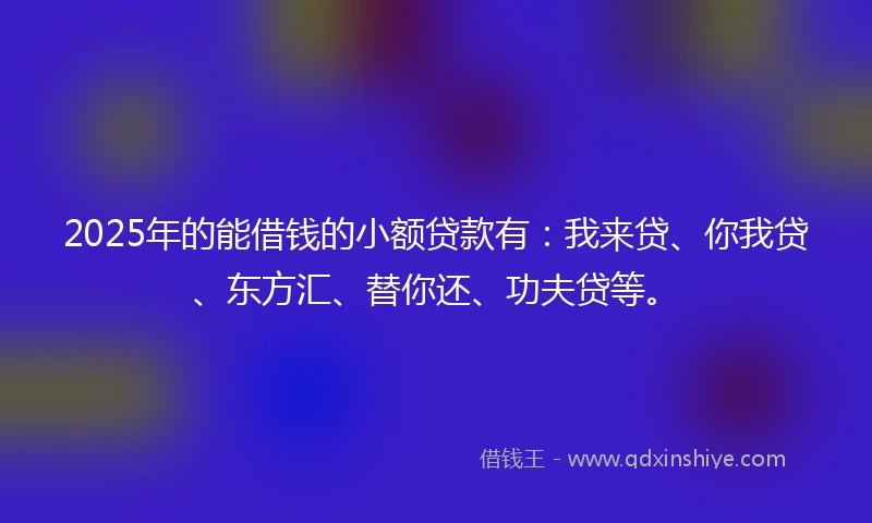 2025年的能借钱的小额贷款有：我来贷、你我贷、东方汇、替你还、功夫贷等。