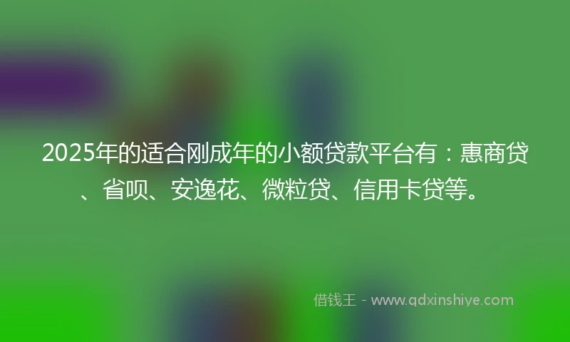 2025年的适合刚成年的小额贷款平台有:惠商贷、省呗、安逸花、微粒贷、信用卡贷等。