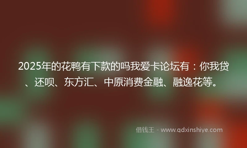 2025年的花鸭有下款的吗我爱卡论坛有：你我贷、还呗、东方汇、中原消费金融、融逸花等。