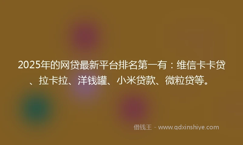 2025年的网贷最新平台排名第一有：维信卡卡贷、拉卡拉、洋钱罐、小米贷款、微粒贷等。