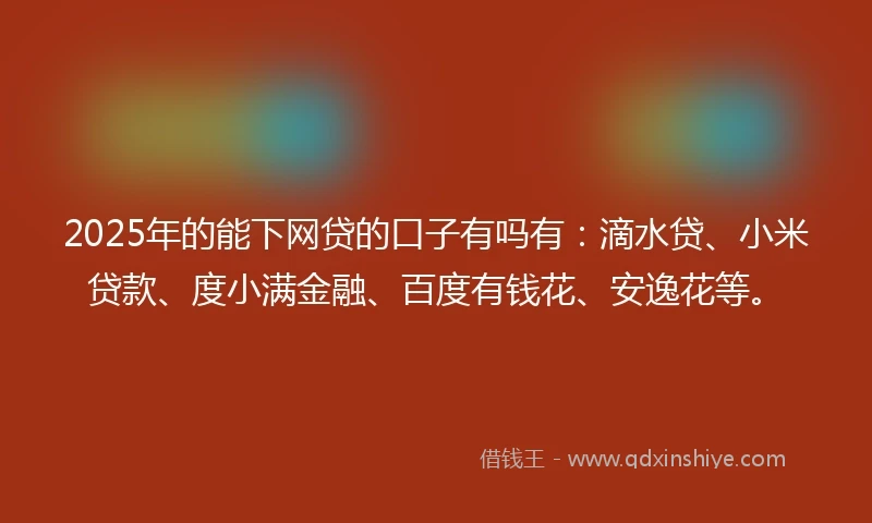 2025年的能下网贷的口子有吗有：滴水贷、小米贷款、度小满金融、百度有钱花、安逸花等。