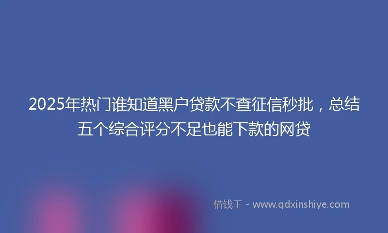 2025年热门谁知道黑户贷款不查征信秒批，总结五个综合评分不足也能下款的网贷
