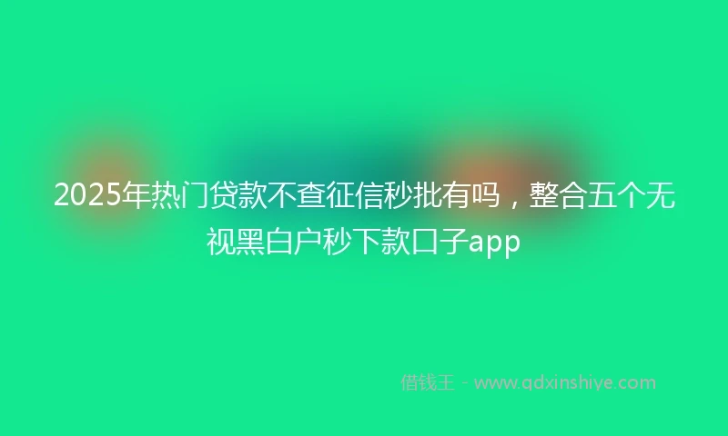 2025年热门贷款不查征信秒批有吗，整合五个无视黑白户秒下款口子app