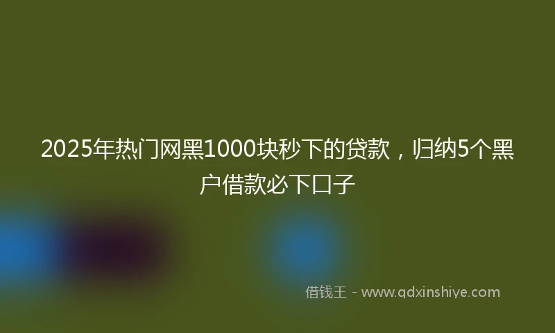 2025年热门网黑1000块秒下的贷款，归纳5个黑户借款必下口子