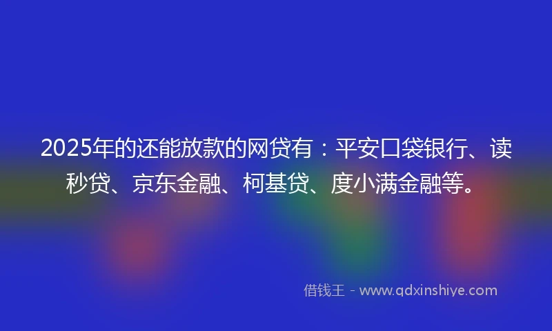 2025年的还能放款的网贷有：平安口袋银行、读秒贷、京东金融、柯基贷、度小满金融等。