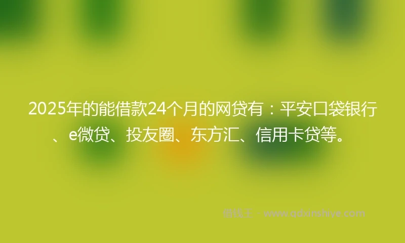 2025年的能借款24个月的网贷有：平安口袋银行、e微贷、投友圈、东方汇、信用卡贷等。