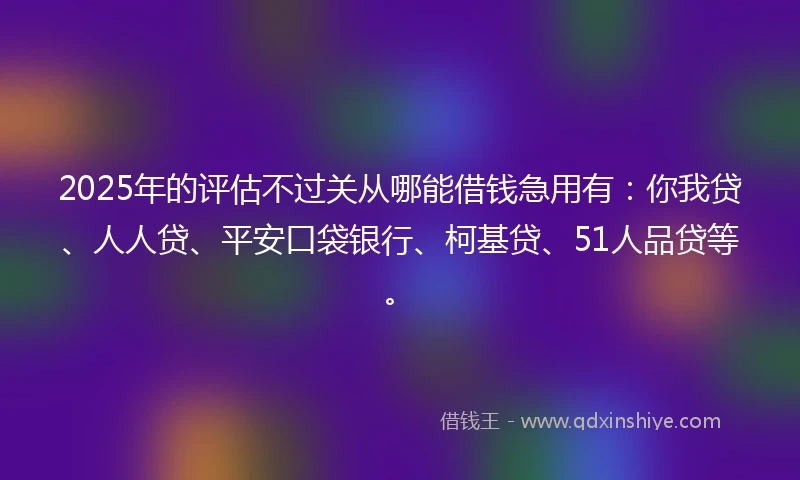 2025年的评估不过关从哪能借钱急用有：你我贷、人人贷、平安口袋银行、柯基贷、51人品贷等。