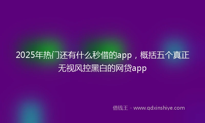 2025年热门还有什么秒借的app，概括五个真正无视风控黑白的网贷app