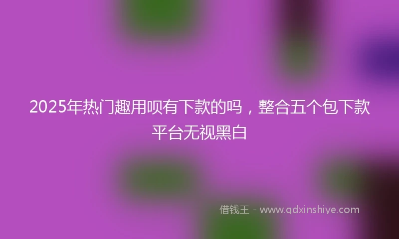 2025年热门趣用呗有下款的吗，整合五个包下款平台无视黑白