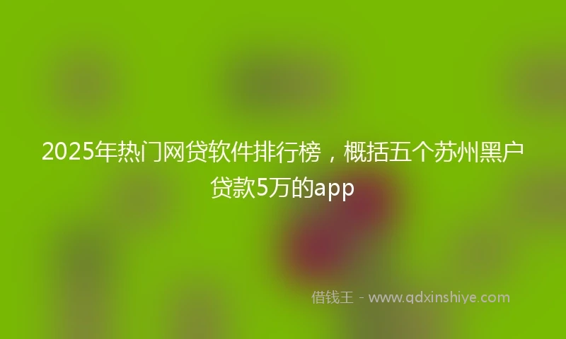 2025年热门网贷软件排行榜，概括五个苏州黑户贷款5万的app