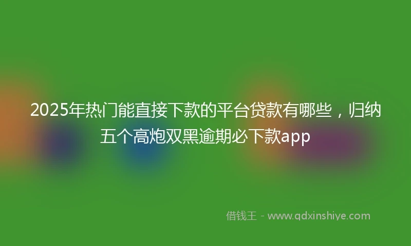 2025年热门能直接下款的平台贷款有哪些，归纳五个高炮双黑逾期必下款app