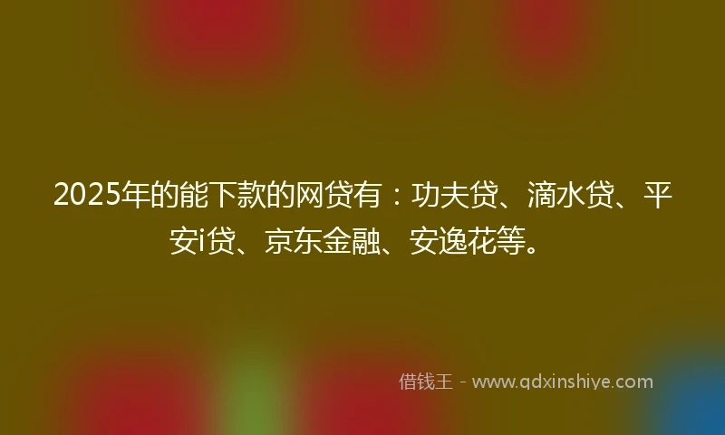 2025年的能下款的网贷有：功夫贷、滴水贷、平安i贷、京东金融、安逸花等。