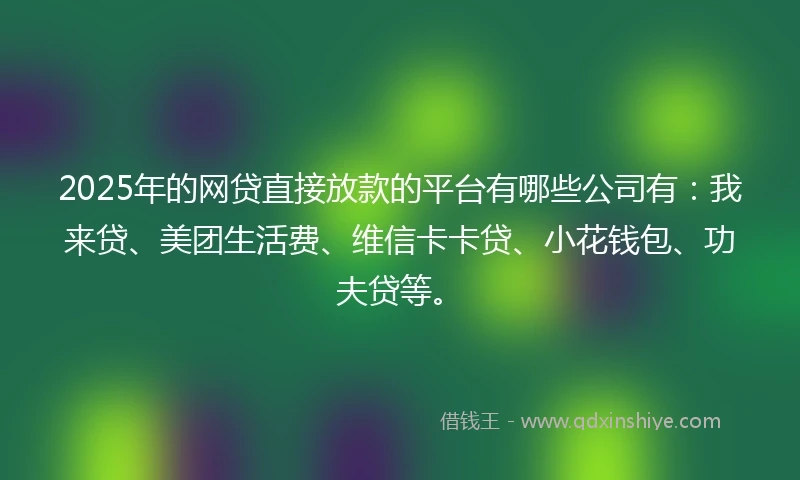 2025年的网贷直接放款的平台有哪些公司有：我来贷、美团生活费、维信卡卡贷、小花钱包、功夫贷等。