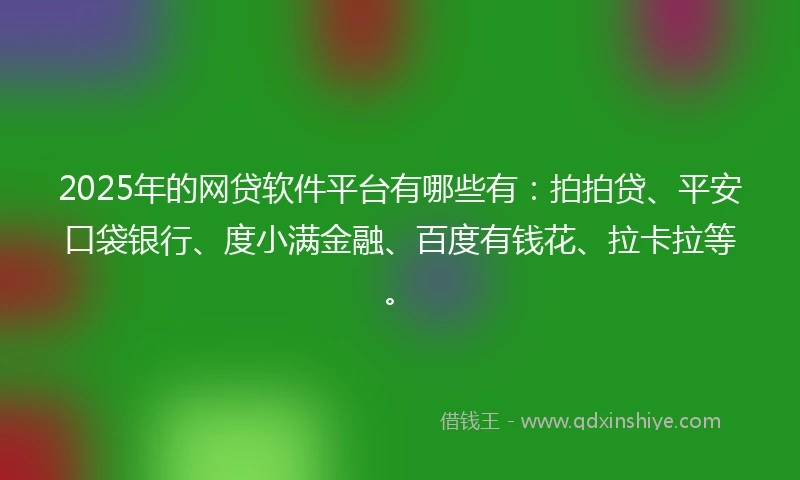 2025年的网贷软件平台有哪些有：拍拍贷、平安口袋银行、度小满金融、百度有钱花、拉卡拉等。