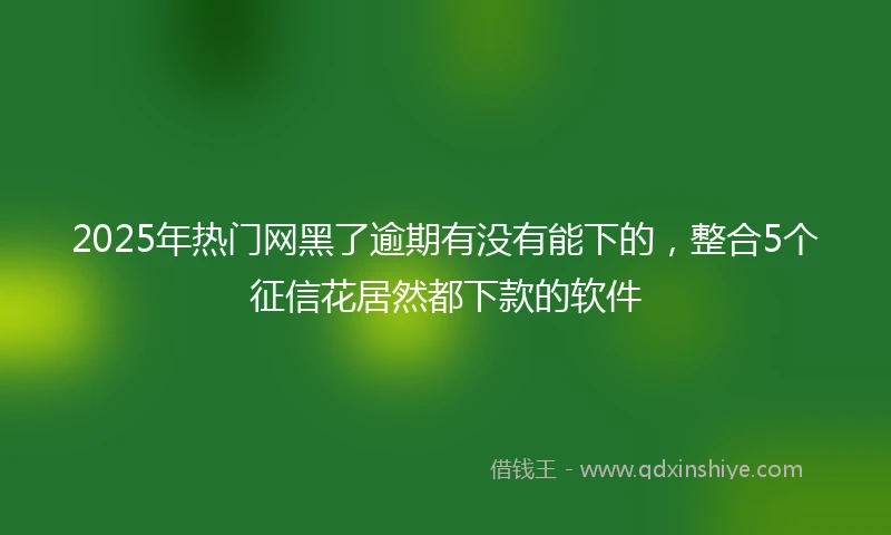2025年热门网黑了逾期有没有能下的，整合5个征信花居然都下款的软件