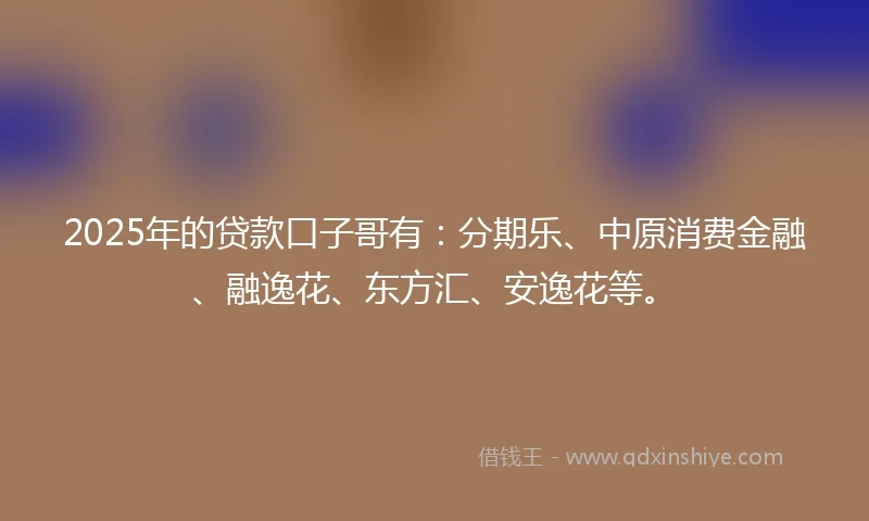 2025年的贷款口子哥有：分期乐、中原消费金融、融逸花、东方汇、安逸花等。