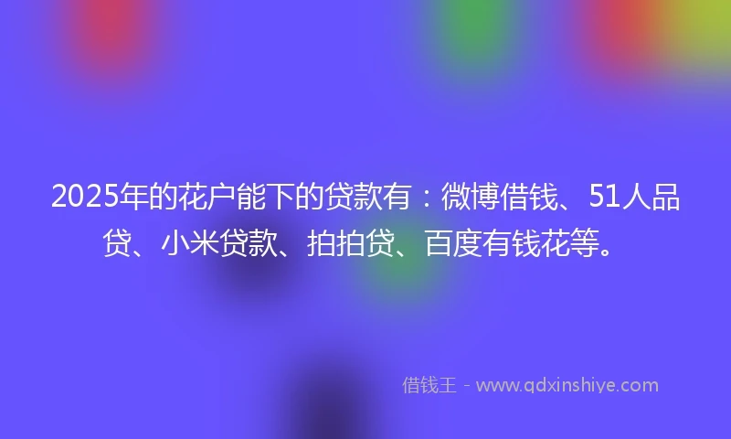2025年的花户能下的贷款有：微博借钱、51人品贷、小米贷款、拍拍贷、百度有钱花等。