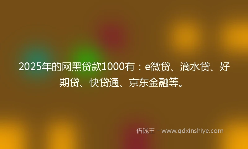 2025年的网黑贷款1000有：e微贷、滴水贷、好期贷、快贷通、京东金融等。