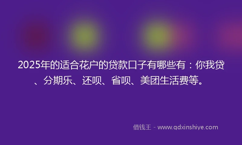 2025年的适合花户的贷款口子有哪些有：你我贷、分期乐、还呗、省呗、美团生活费等。