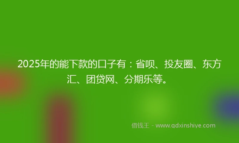 2025年的能下款的口子有：省呗、投友圈、东方汇、团贷网、分期乐等。