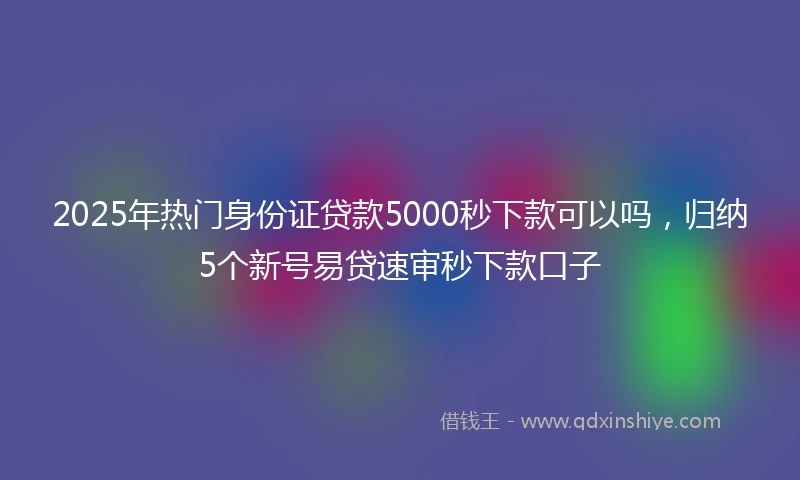 2025年热门身份证贷款5000秒下款可以吗，归纳5个新号易贷速审秒下款口子
