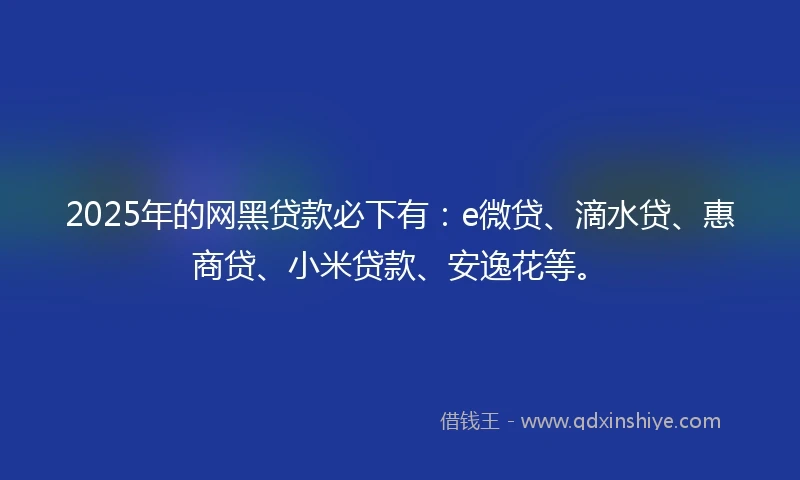 2025年的网黑贷款必下有：e微贷、滴水贷、惠商贷、小米贷款、安逸花等。