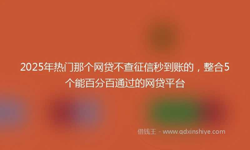 2025年热门那个网贷不查征信秒到账的，整合5个能百分百通过的网贷平台